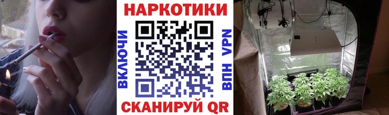 Бошки Шишки Весьегонск