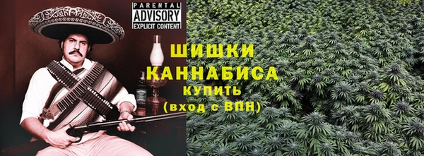 первитин Богданович