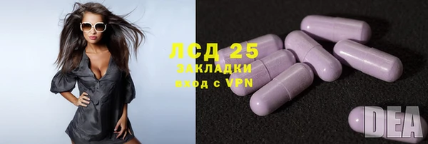 первитин Богданович