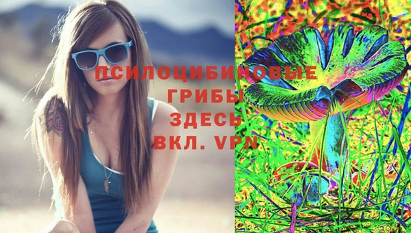 дурь Балахна