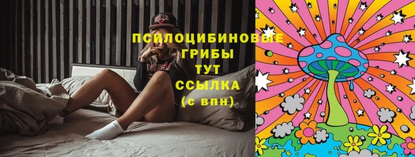 первитин Богданович