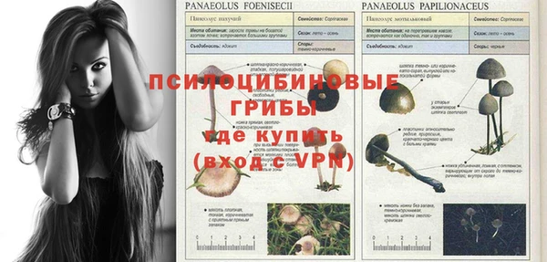 первитин Богородицк
