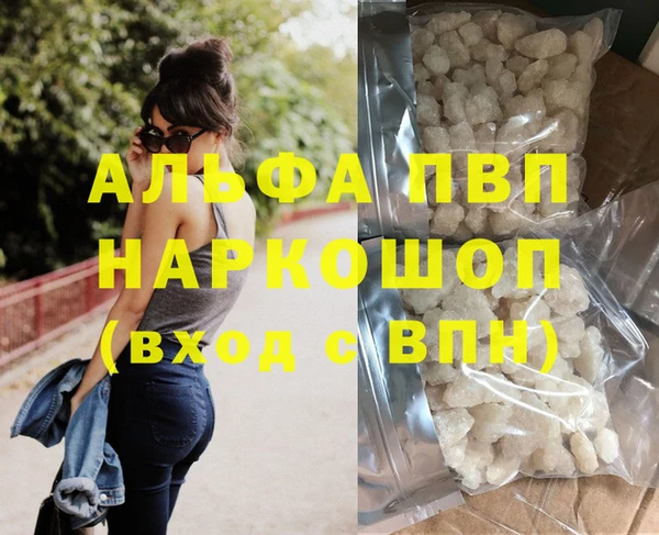 первитин Богданович