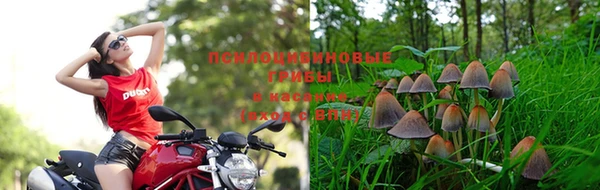 марки lsd Богородск
