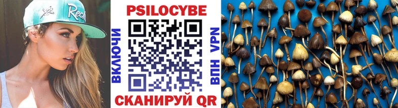 Псилоцибиновые грибы Cubensis  Весьегонск 